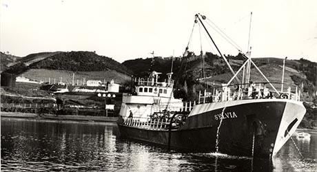 1966